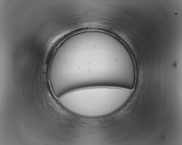 X0000116800971200912181114
