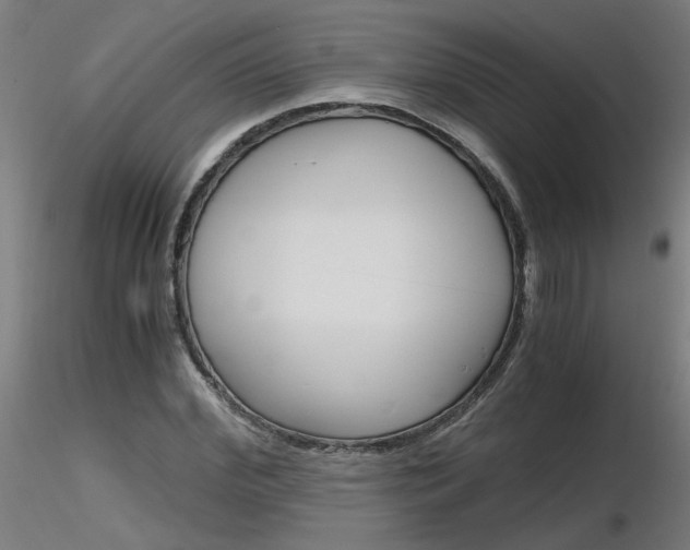 X0000116800972200912181114