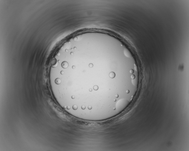 X0000116800974200912181114