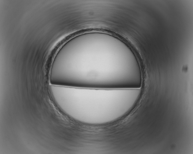 X0000116800975200912181114