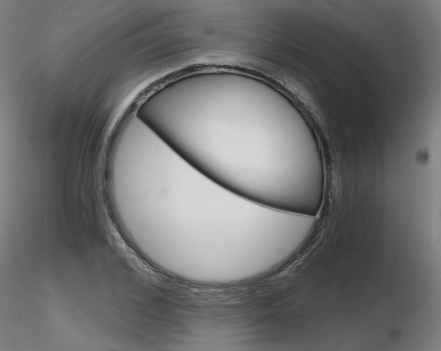 X0000116800976200912181114