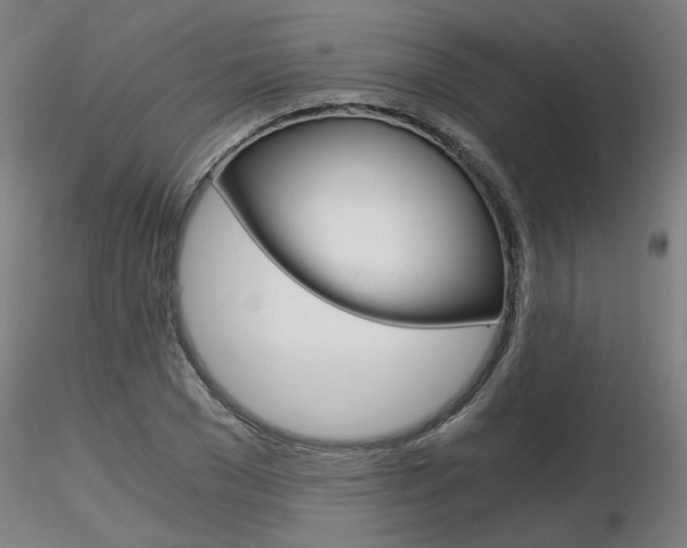 X0000116800977200912181114