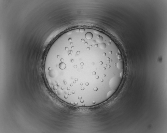 X0000116800978200912181114
