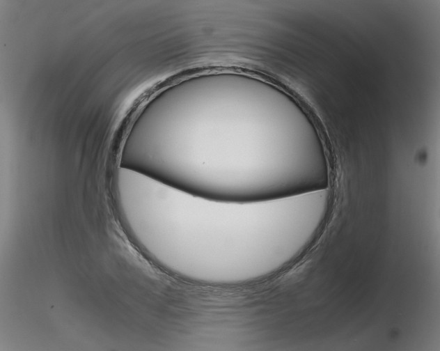 X0000116800979200912181114