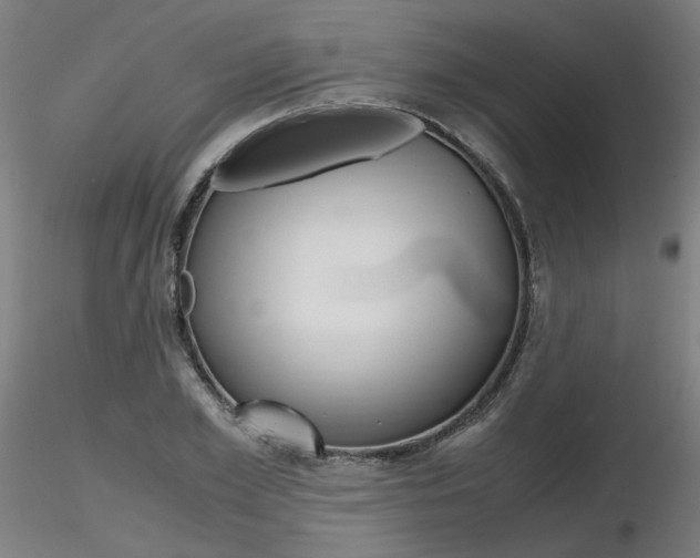 X0000116800981200912181114