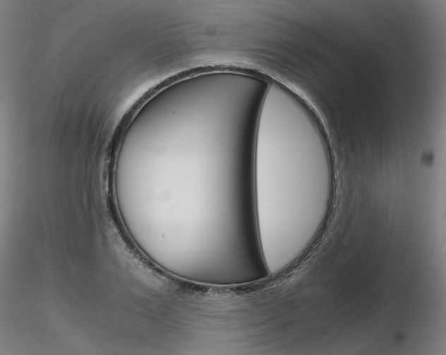 X0000116800983200912181114