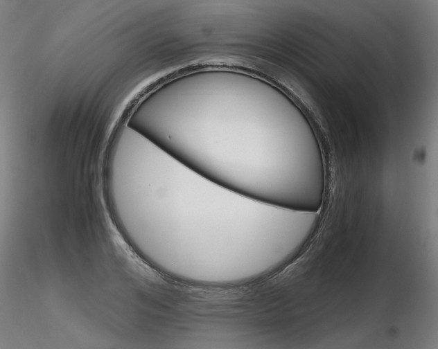 X0000116800984200912181114