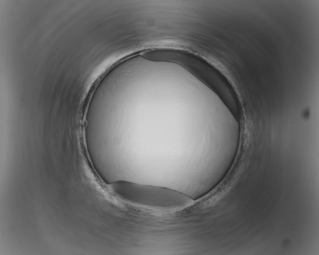 X0000116800989200912181114