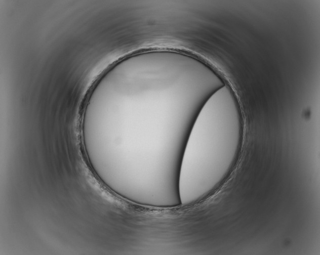 X0000116800990200912181114