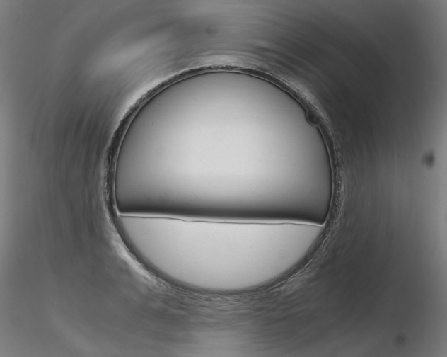 X0000116800991200912181114