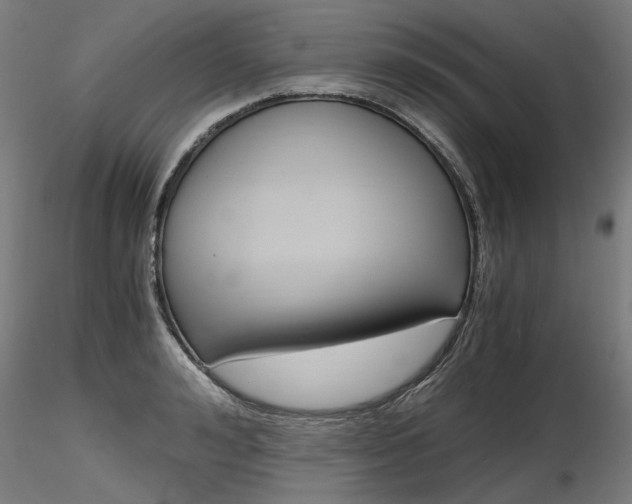 X0000116800992200912181114
