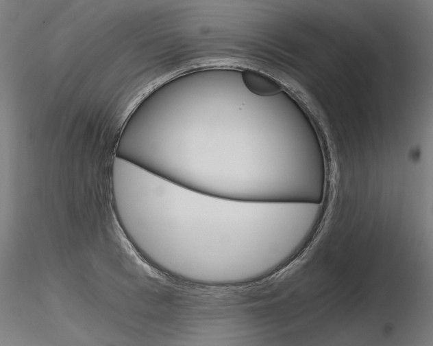 X0000116800993200912181114