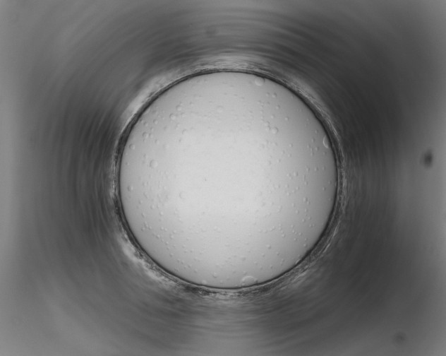X0000116800994200912181114