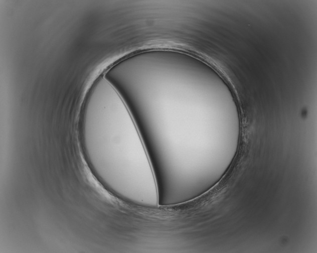 X0000116800995200912181114