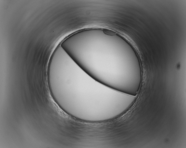 X0000116800996200912181113