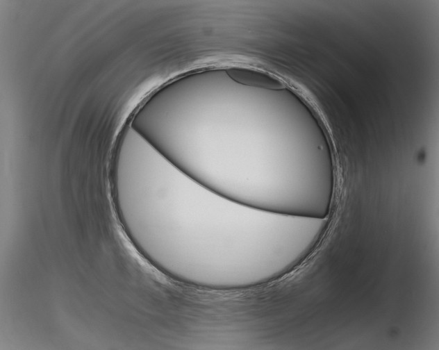 X0000116800997200912181113