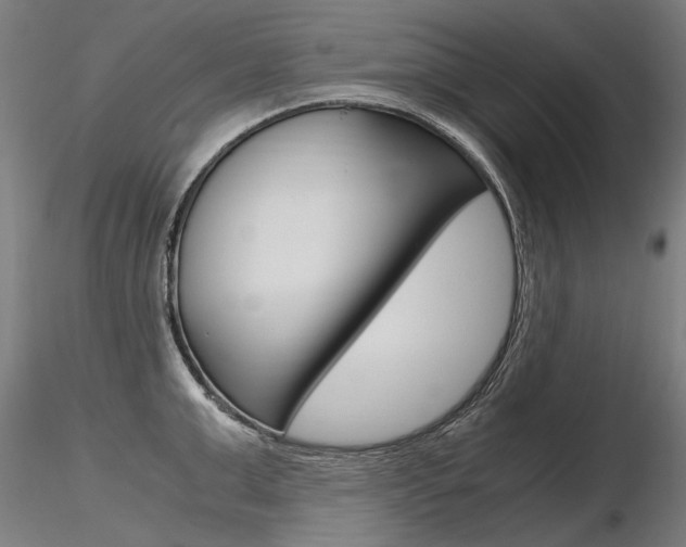 X0000116800999200912181113