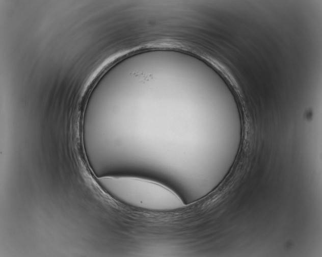 X0000116801000200912181113