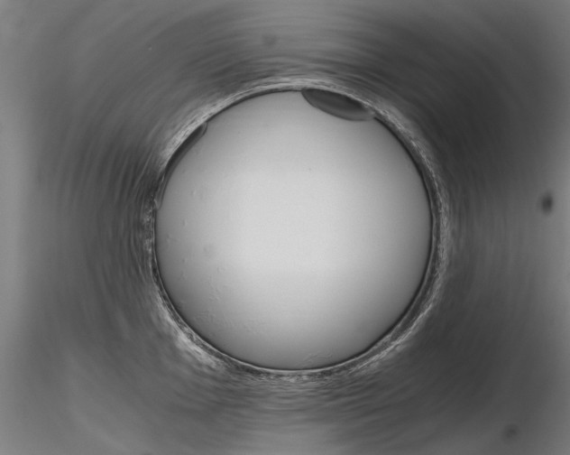 X0000116801001200912181113
