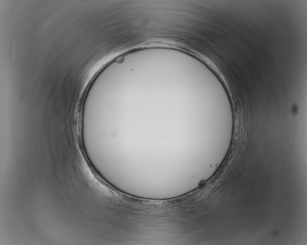 X0000116801003200912181113