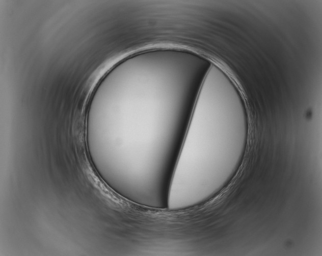X0000116801004200912181113