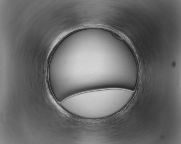 X0000116801005200912181113
