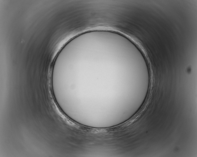 X0000116801006200912181113