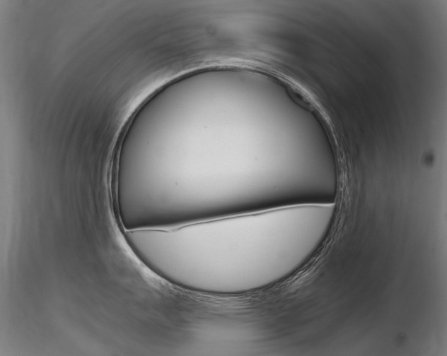 X0000116801007200912181113