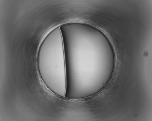 X0000116801008200912181113
