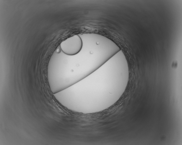 X0000116801009200912181113