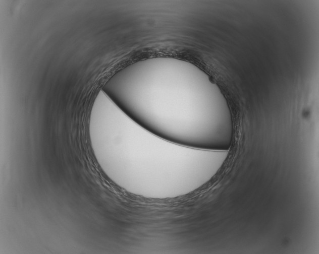 X0000116801010200912181113