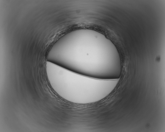 X0000116801012200912181113