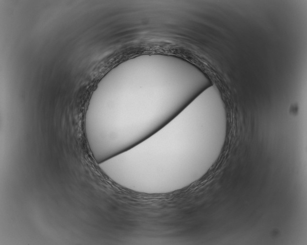 X0000116801013200912181113