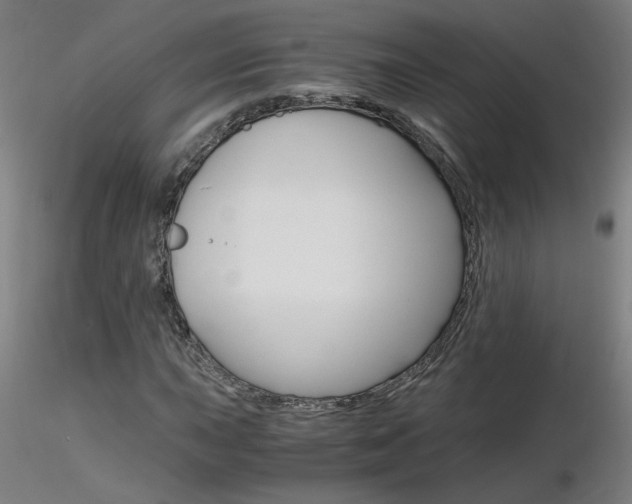 X0000116801015200912181113