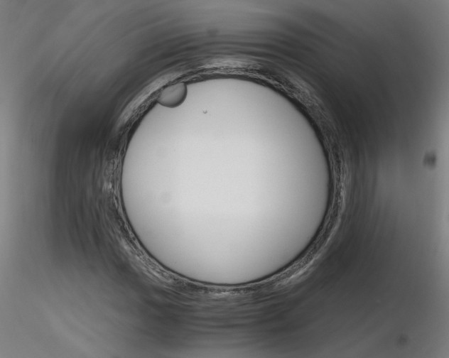 X0000116801017200912181113