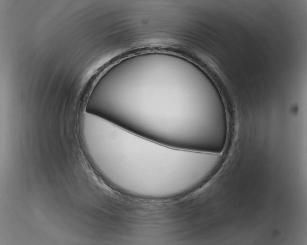 X0000116801018200912181113