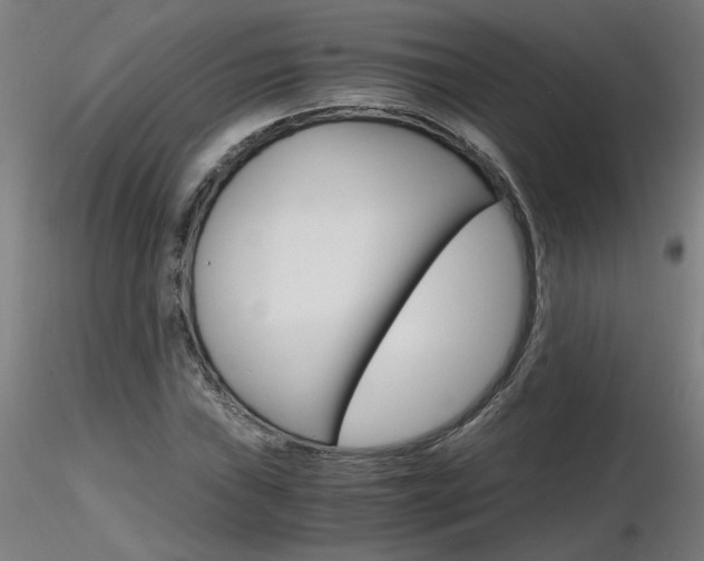 X0000116801019200912181113