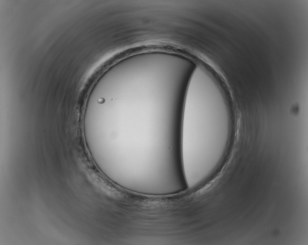 X0000116801021200912181113