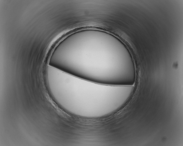 X0000116801024200912181113