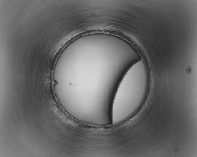 X0000116801025200912181113