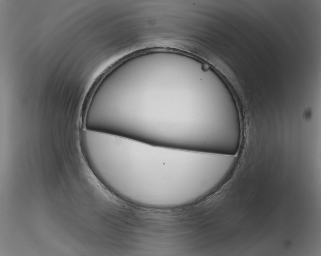 X0000116801028200912181113