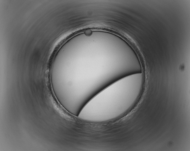 X0000116801029200912181113