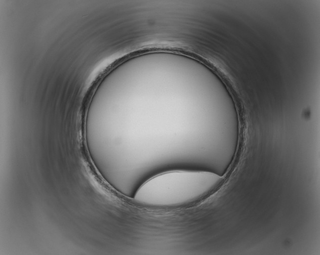 X0000116801030200912181113