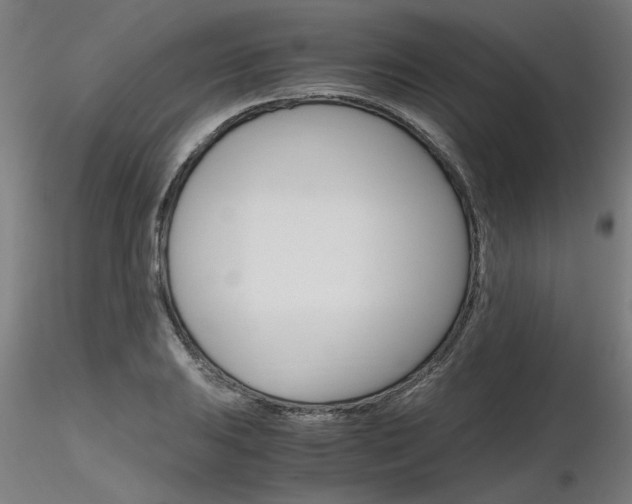 X0000116801031200912181113