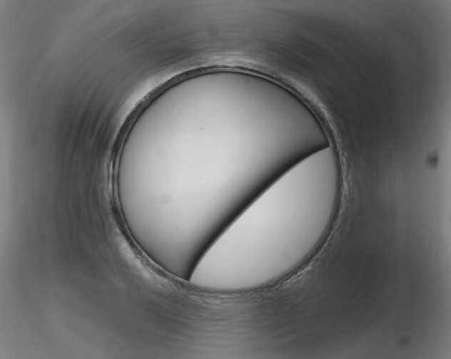 X0000116801032200912181113
