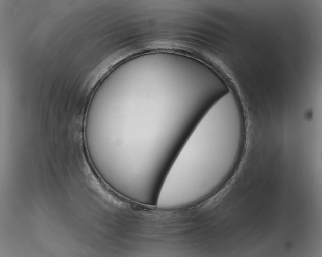 X0000116801033200912181113