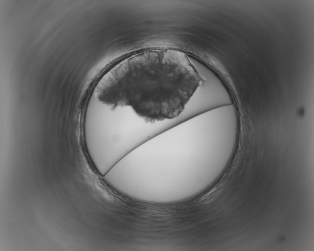 X0000116801035200912181113