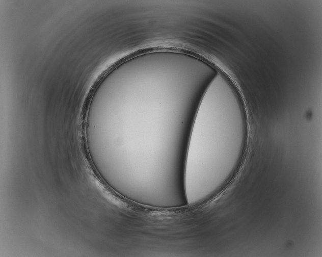 X0000116801037200912181113
