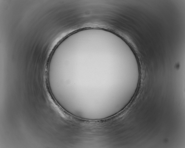 X0000116801040200912181113