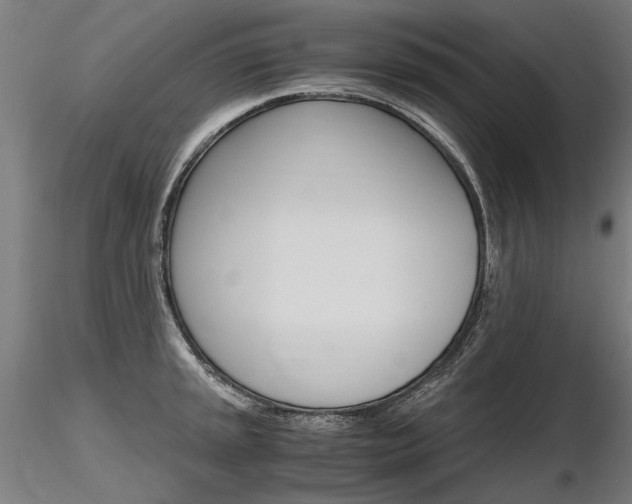 X0000116801045200912181113